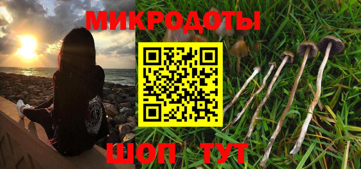 Псилоцибиновые грибы MAGIC MUSHROOMS  Вход с VPN  Михайловск  Галлюциногенные грибы прущие грибы 