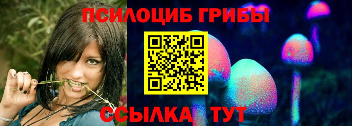 Галлюциногенные грибы прущие грибы Михайловск